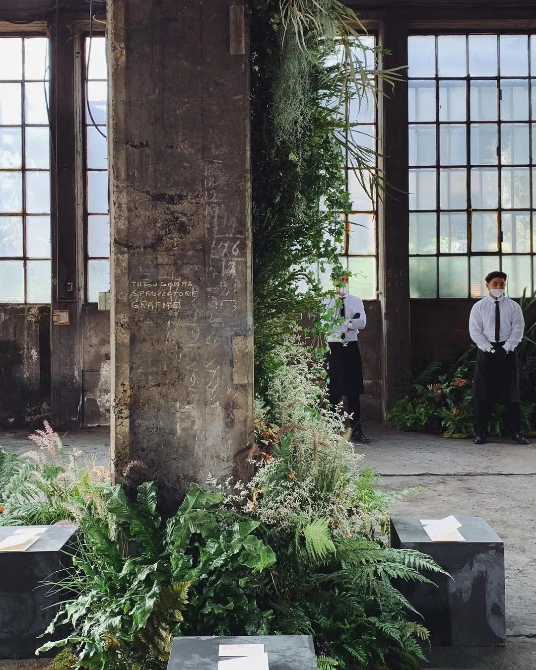 金盆洗手吧，植物杀手们