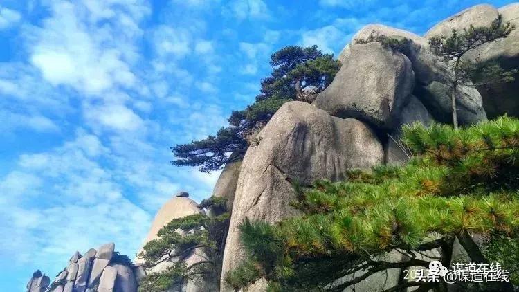 一位候鸟对苏马荡最美小地方的释义,及其未来发展要讲的话