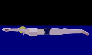 中游体育蛙泳视频大全,中游体育蛙泳技术