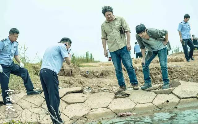 11月电影片单,11月片单