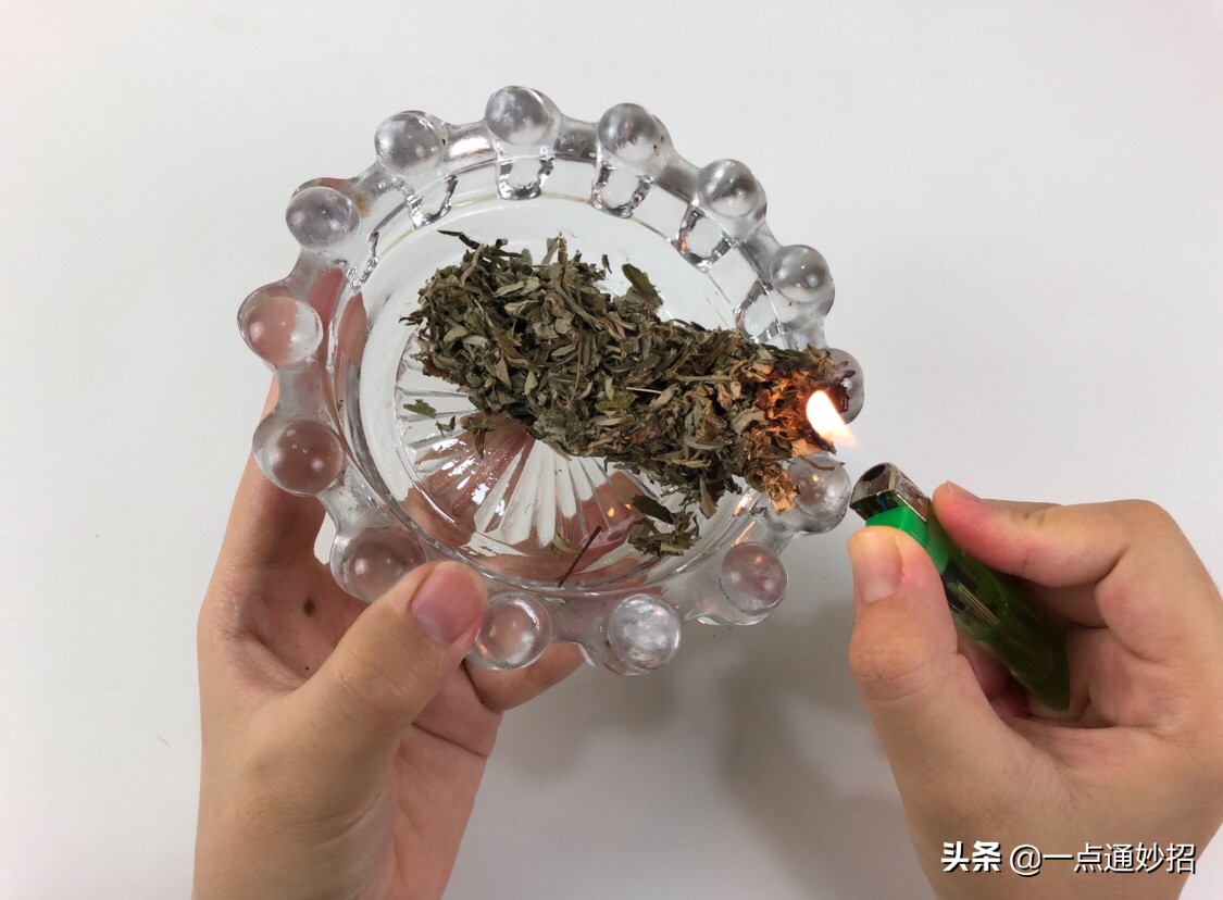 艾草烧了熏房间有什么作用,用艾草熏房间可以驱除哪些虫子