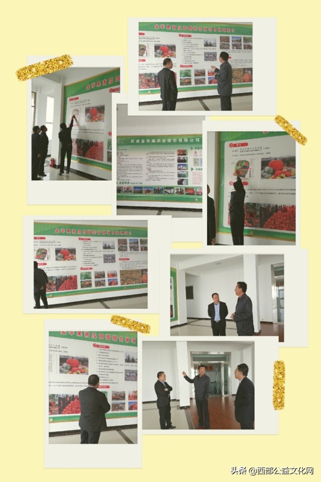 金苹果，是河西走廊一颗璀璨的明珠