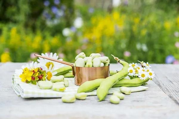 蚕豆病是不能吃蚕豆类制品吗,蚕豆病的宝宝不可以吃什么面