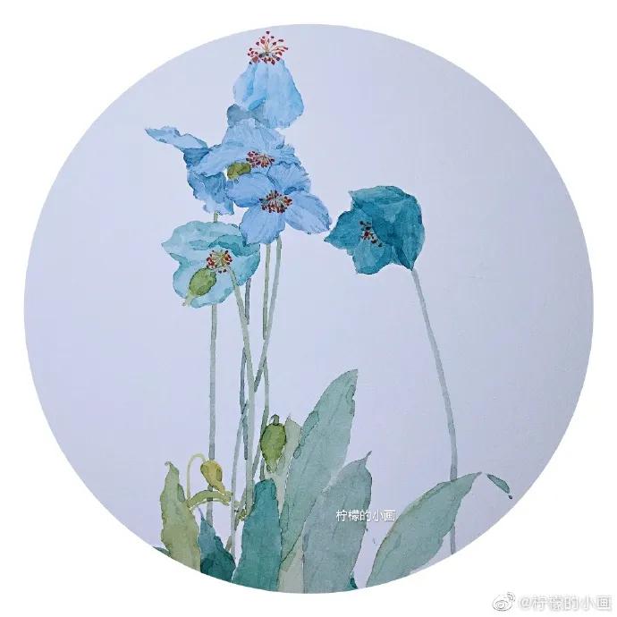 分享一组好看的小清新水彩插画,不来看看简单水彩小插画的教程吗