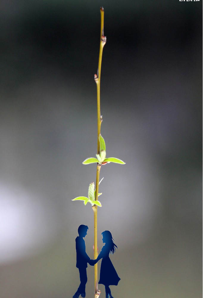 微信怎么设聊天背景,烟花聊天背景图微信