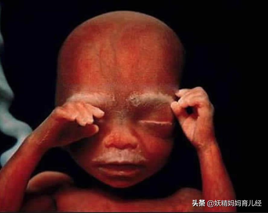 宝宝在妈妈肚子里发育过程图卡通,宝宝在妈妈肚子生长图