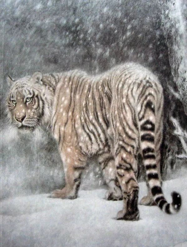 他笔下的虎充满了人的柔情与善意