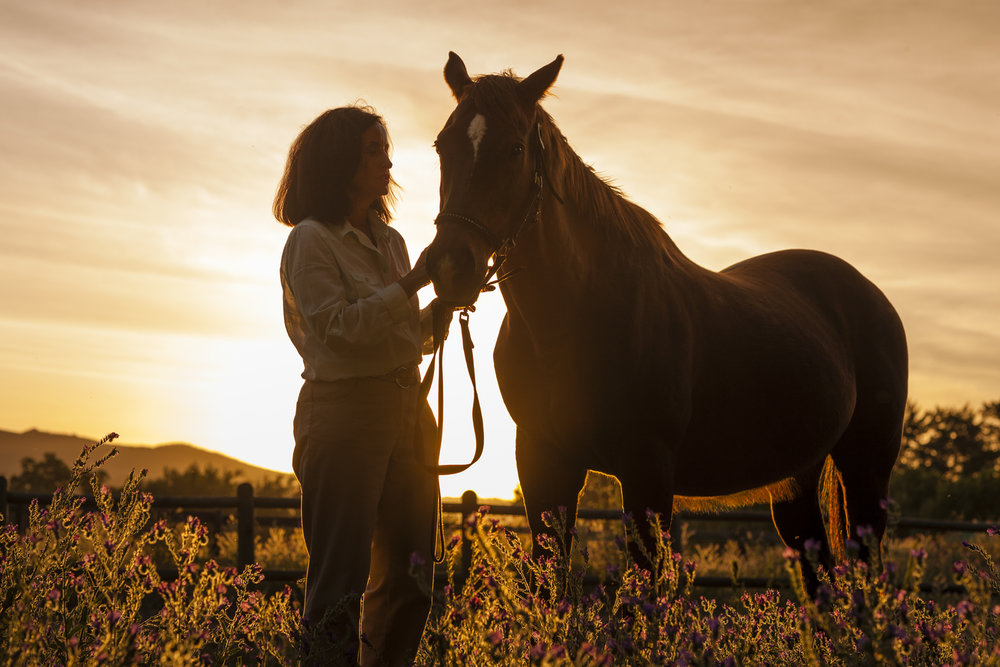 香奈儿全球CEO的职场精华感悟,全在这一篇了