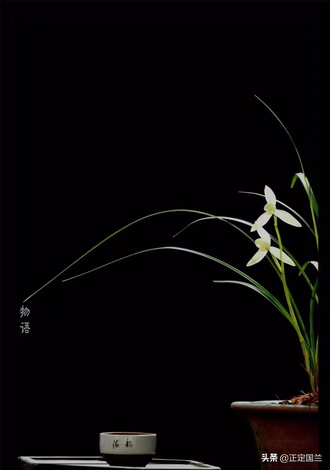 盘点那些直播卖草中的套路