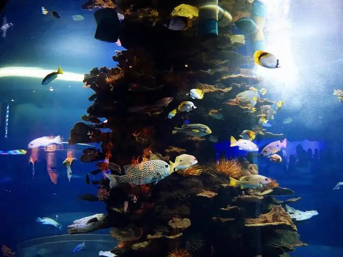 青岛海边遛娃免费十佳去处,青岛夏季遛娃