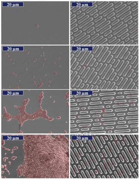 罗永浩发布会直播全程回放2018,罗永浩的老人与海黑科技发布会