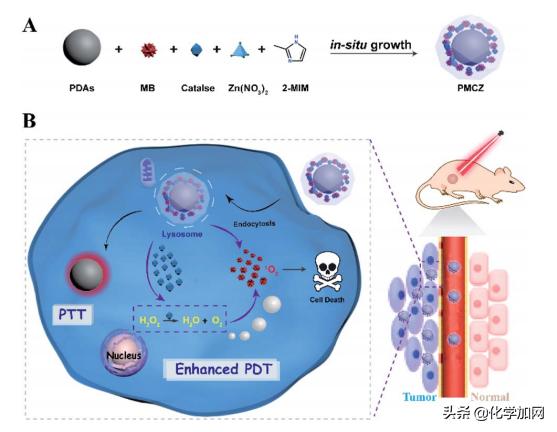 武汉大学王富安教授课题组Chem.Sci.