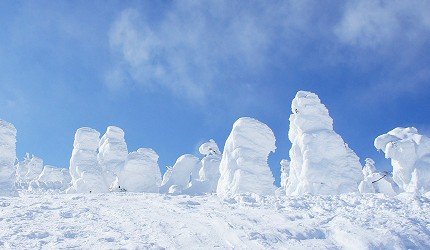 日本藏王山雪怪的最佳观赏期,日本藏王树冰景点
