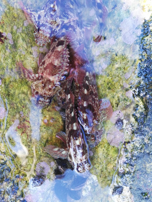 舌尖上的中国浙江篇,舌尖上的中国浙江宁波篇