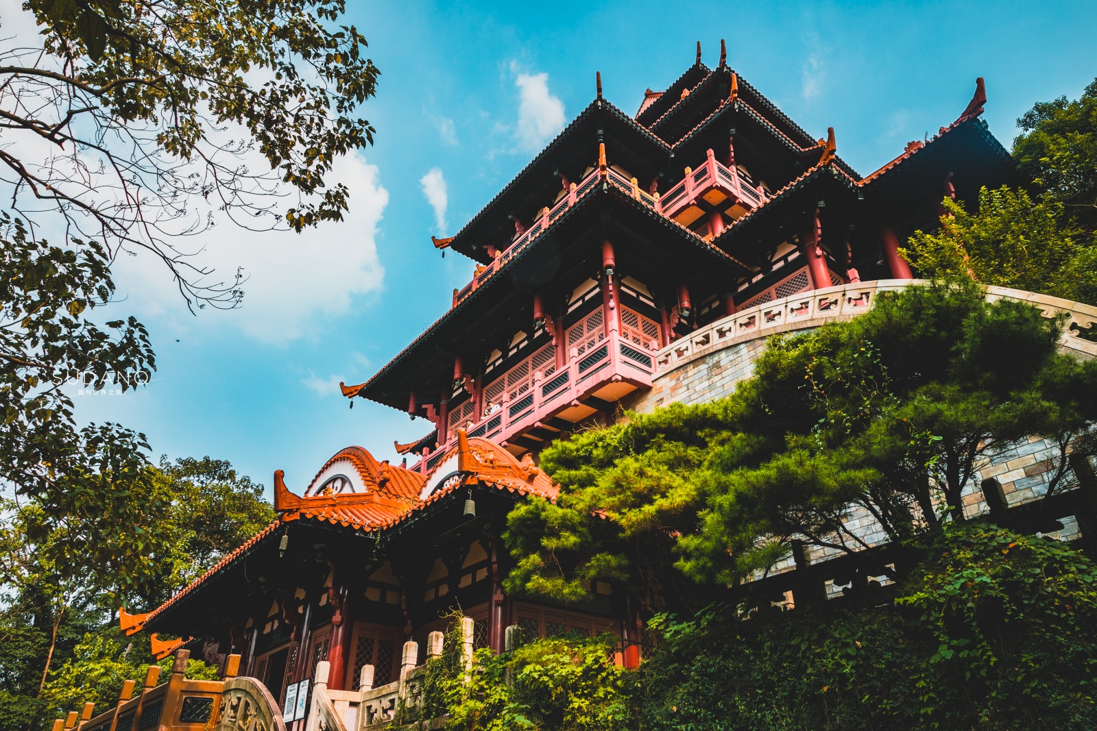 武汉东湖发生什么事,武汉东湖最近发生的大事