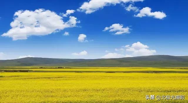 拍夜景鸟的正确方法,拍摄鸟类摄影欣赏