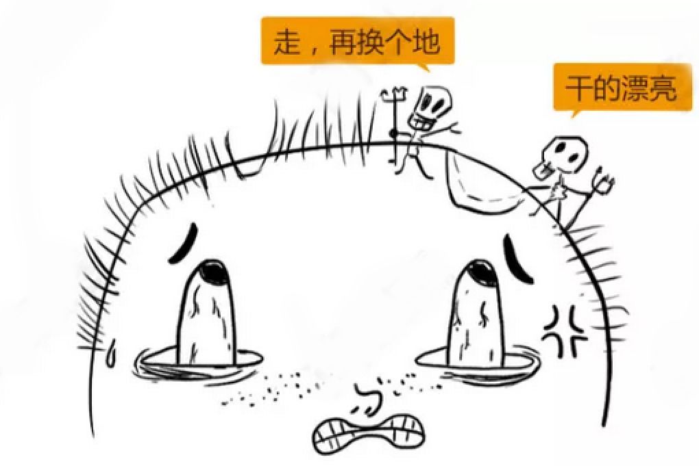 美女主持人突然上热搜，网友纷纷晒同款！脱发原来是毛囊“休息”了