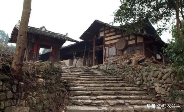 田里庄稼的颜色用四个字怎么形容,庄稼成熟的颜色