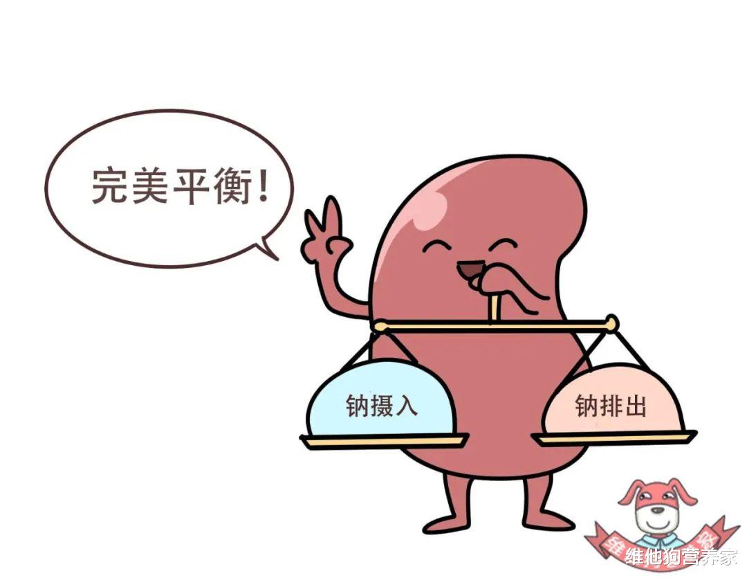 浮肿型肥胖怎么瘦,水肿型肥胖能减多少斤一个月