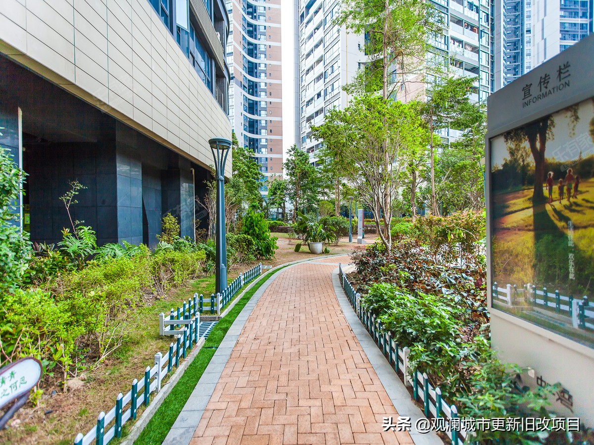 深圳福田绿景虹湾笋盘,深圳市福田区绿景虹湾多少钱一平