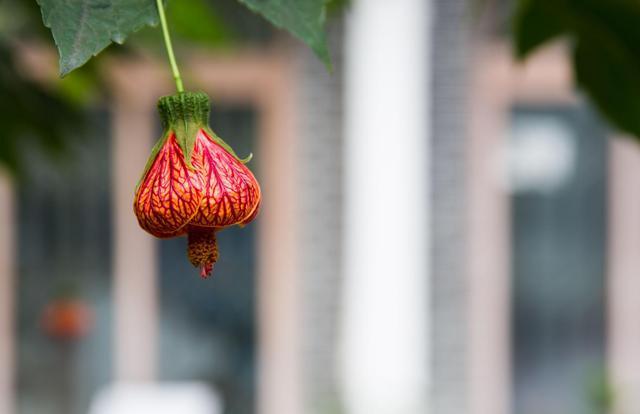 真正厉害的人遇到大事件,总是与人发生冲突该如何静下心来