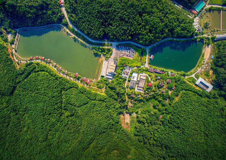 中国绿都最氧三明,中国绿都最氧三明春回大地