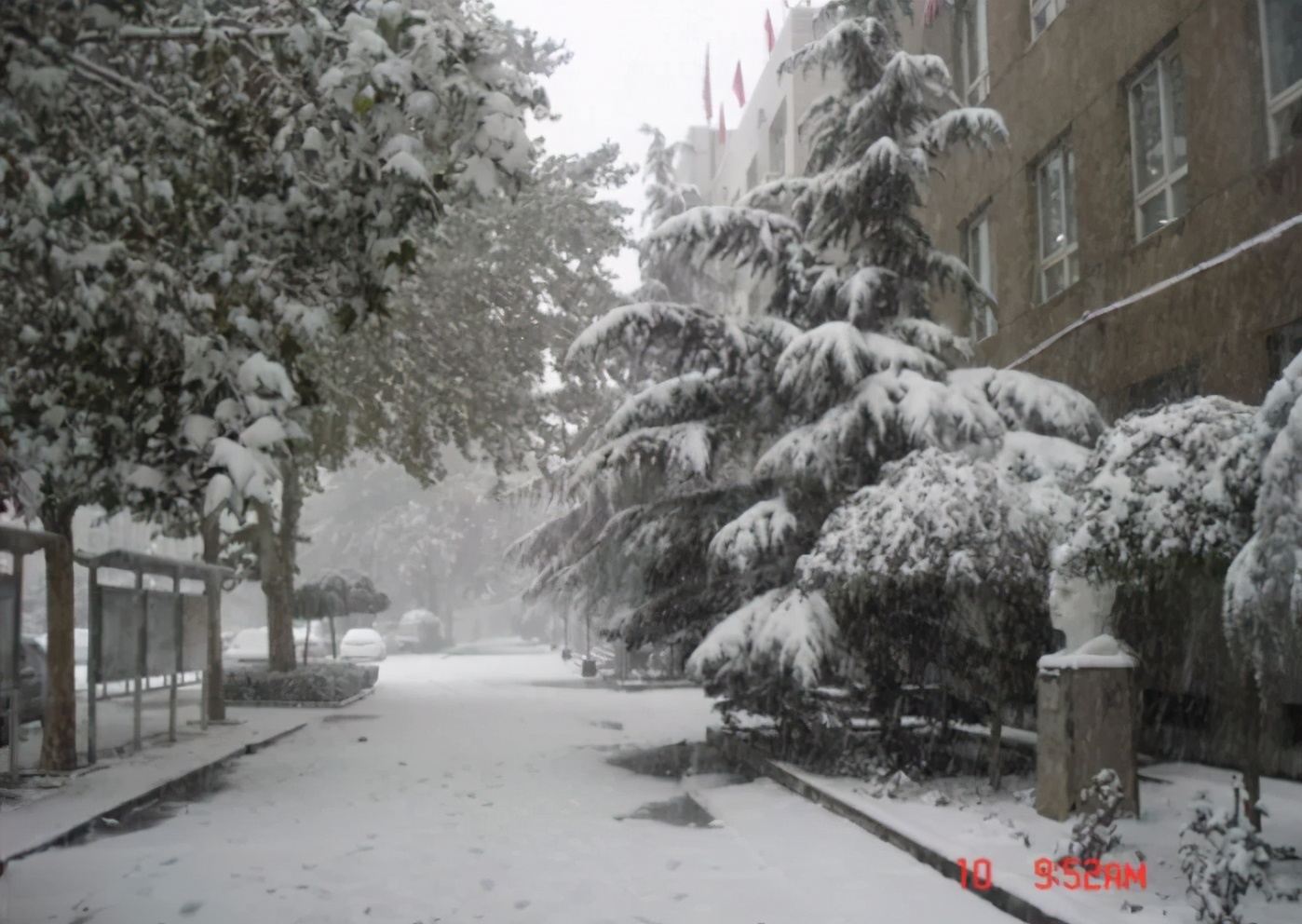 石家庄六中,怀念石家庄六中