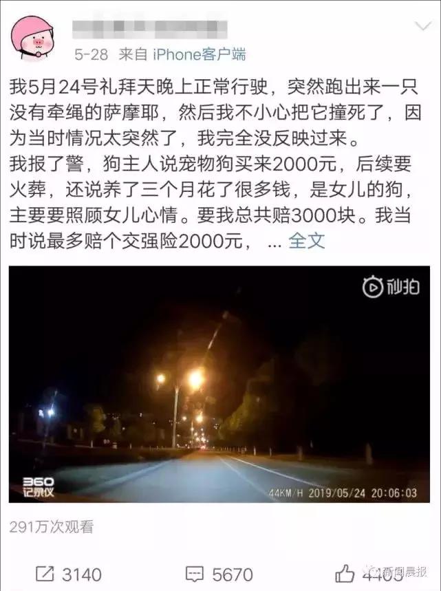 男子被一条狗疯咬,男子被狗追咬全身缝300多针