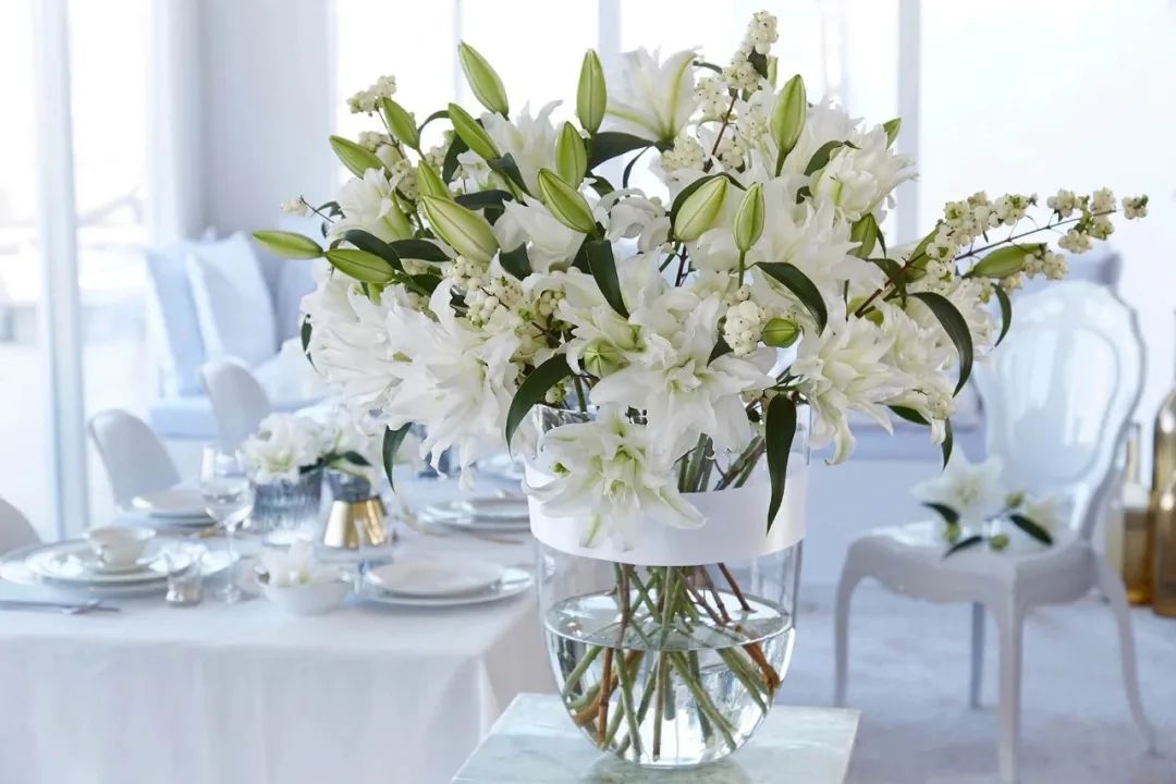 秋日赏花，百合必须要拥有姓名