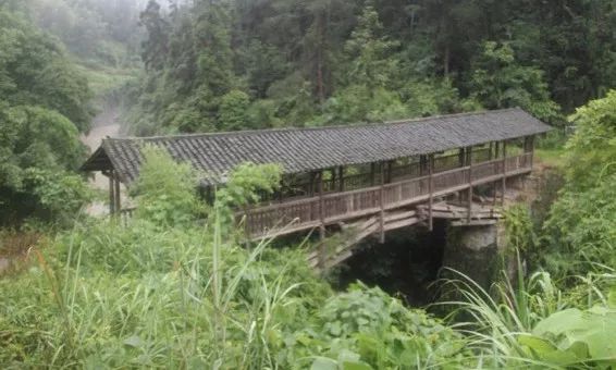 大桥原来是这样建造的,最巧妙的大桥建造