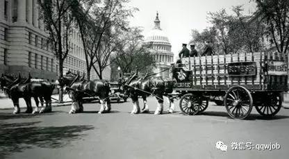 百威set招聘,百威实习生