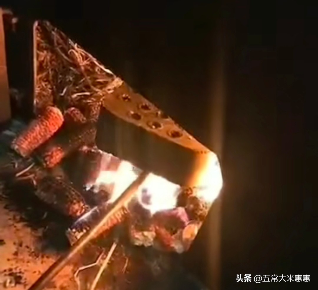 东北水稻怎样防冻,农业低温雨雪天气应对措施