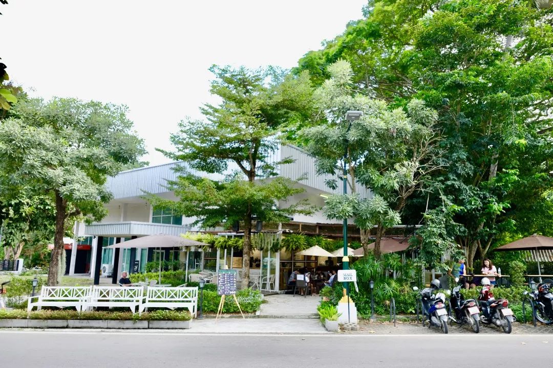 清迈美食攻略大全,最新清迈美食攻略