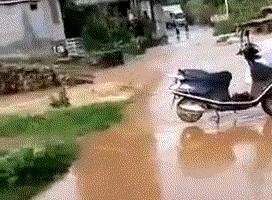 新娘开心的搞笑视频,搞笑gif开心一刻女司机上车