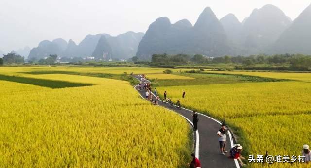 农民放弃耕种,农民放弃种地什么原因