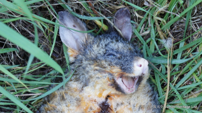 第134回：怀凯蒂山谷温泉浴，怀奥塔普地热公园