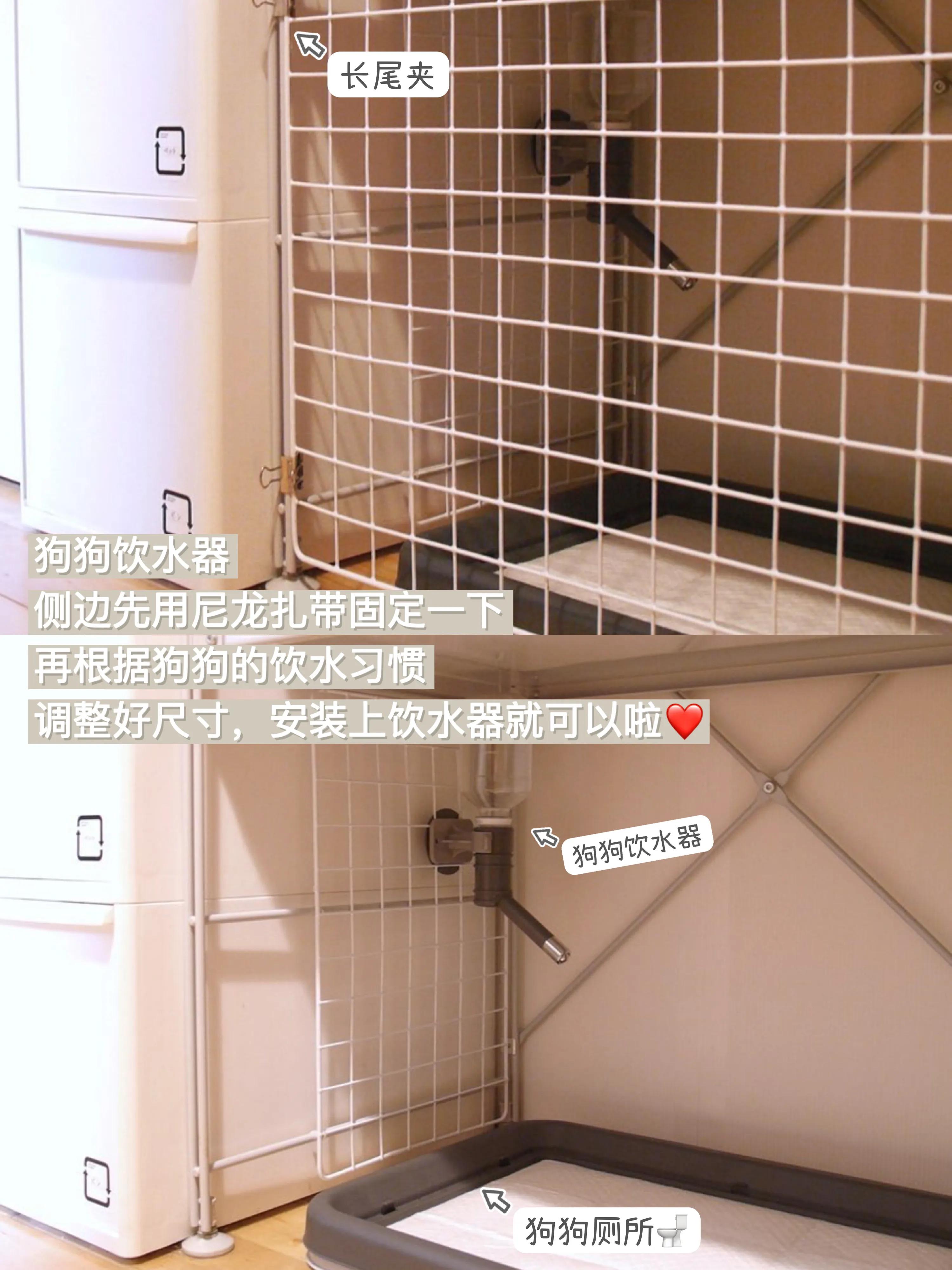 小狗的小窝改造,狗窝改造50万