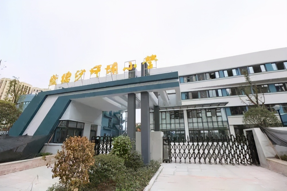 重庆荣昌高新区实验小学,重庆24所示范小学排名