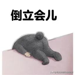 做这个动作轻松改善,做什么操可以防止脱发