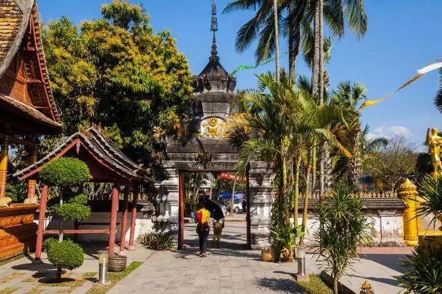 西双版纳风景之旅自由行旅游攻略,邂逅雨林西双版纳秘境之旅