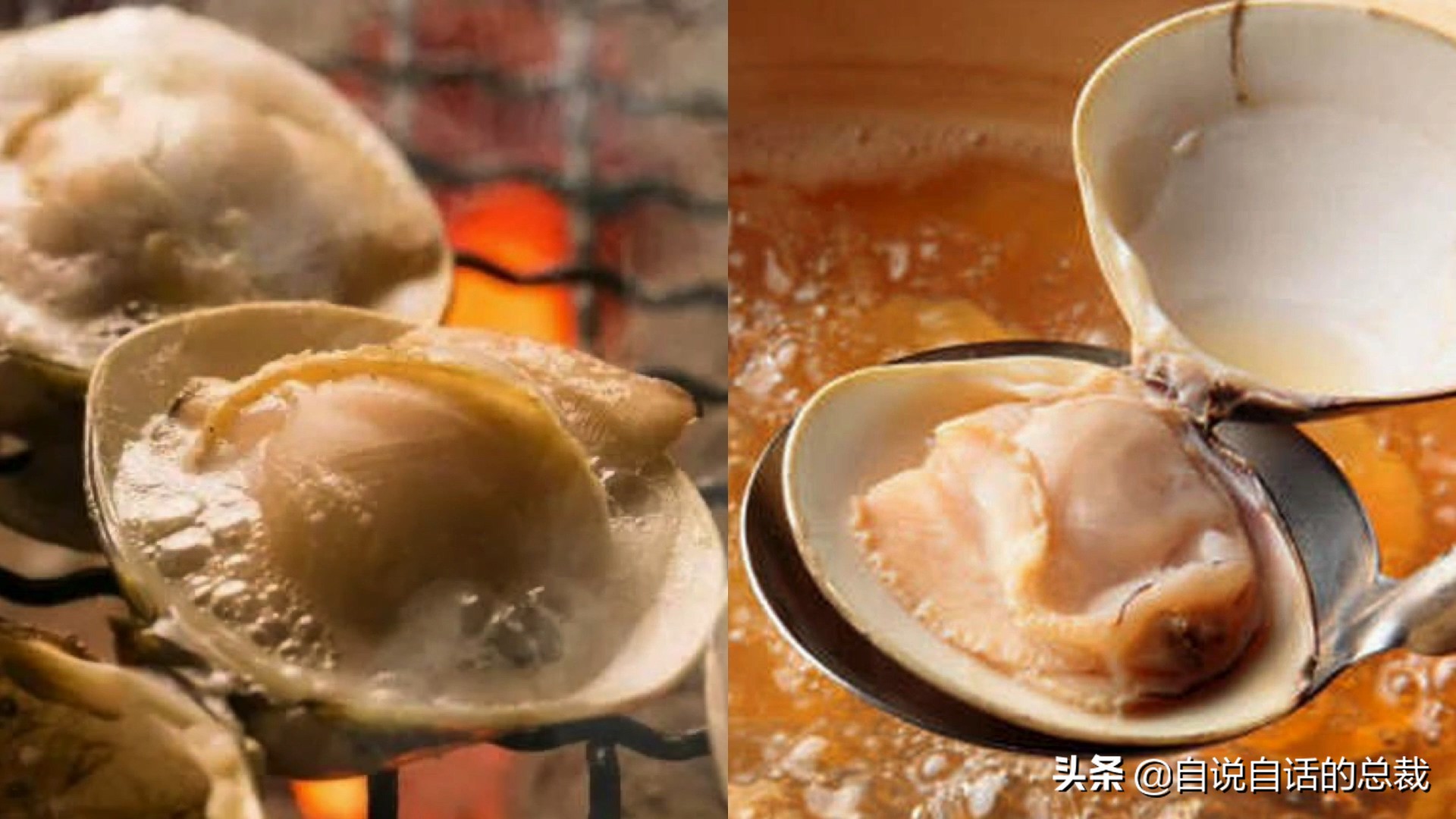 蚬蚌蛏的区别是什么,蚶子蛤蜊蚬子区别