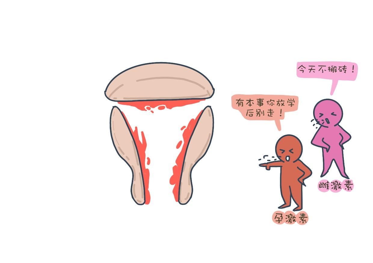 人体各部位的秘密,人体的所有秘密