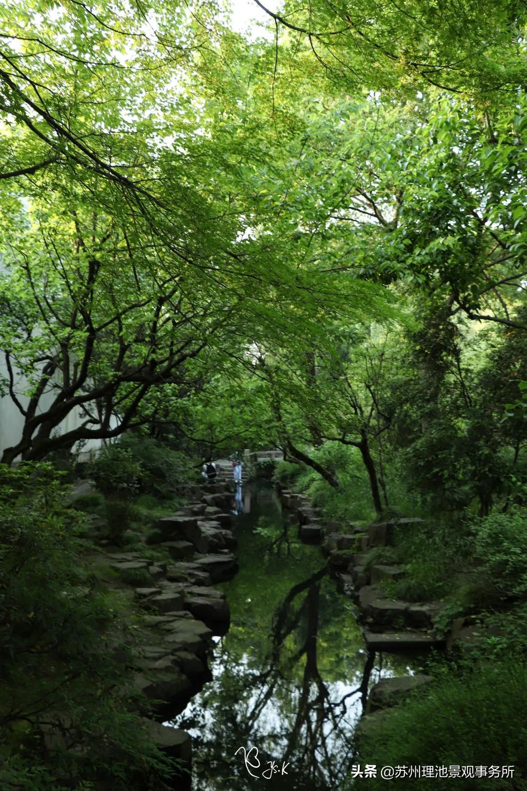 园林景观的文化特征,园林里有哪些文化