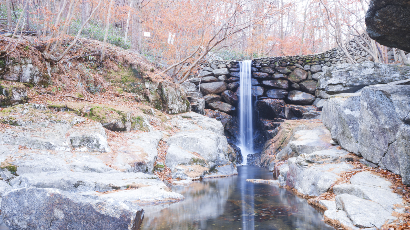 哇,人参随便挖!韩国还能这么玩