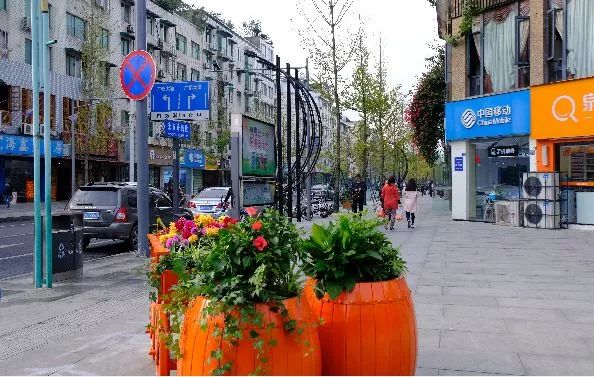 美了美了!涉及双流四个街区,34条街道!在你家附近吗?