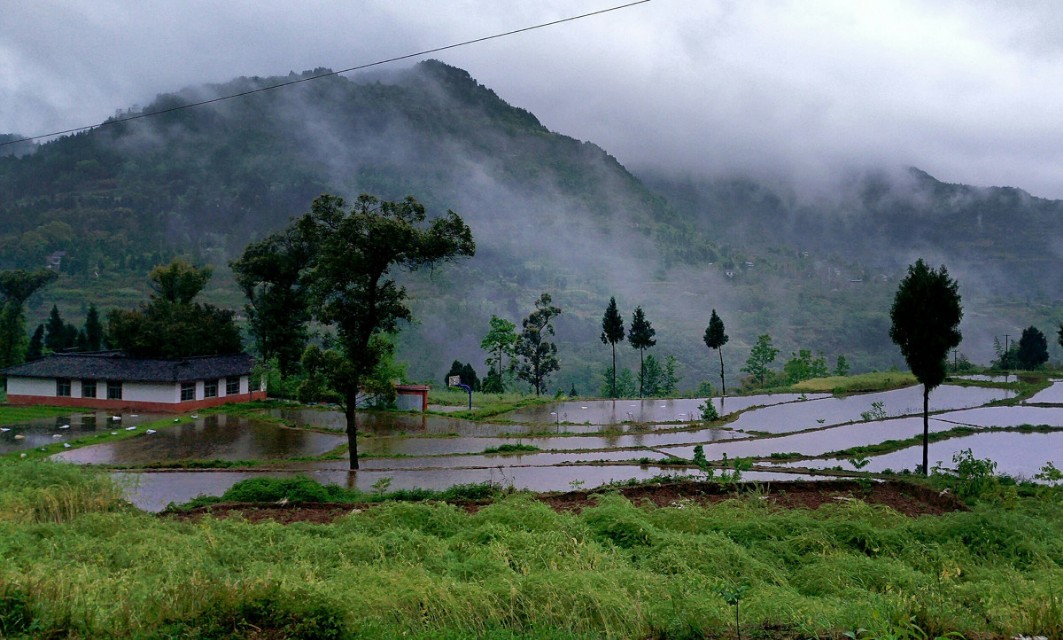 关于春草诗词,关于春草的诗句大全简单
