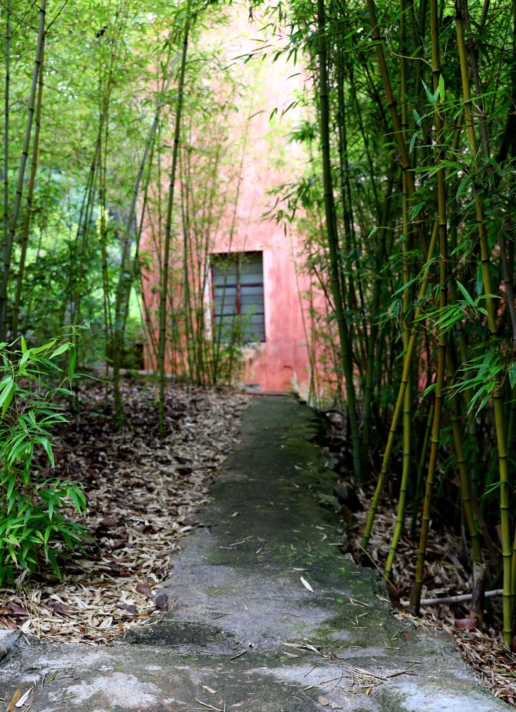 抚仙湖孤山上有什么景点,抚仙湖里的小岛