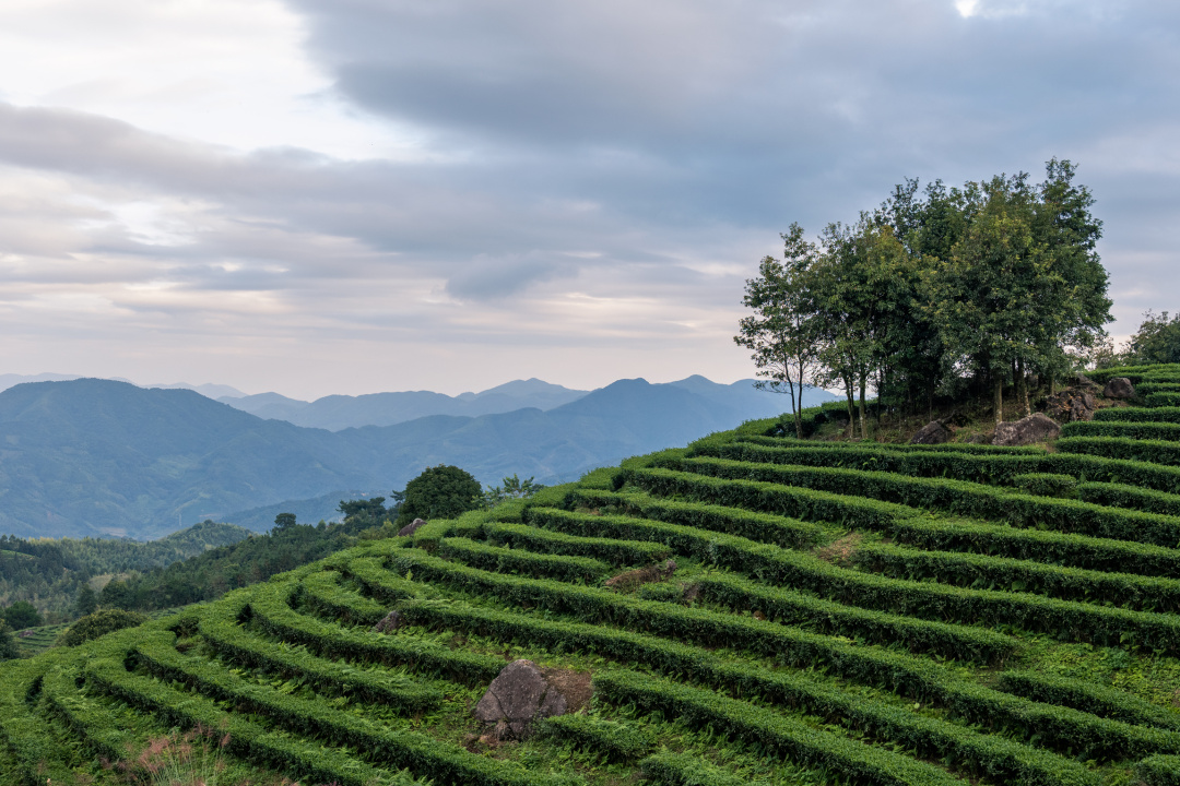 藏在福建漳州南靖的世外桃源,南靖世外桃源