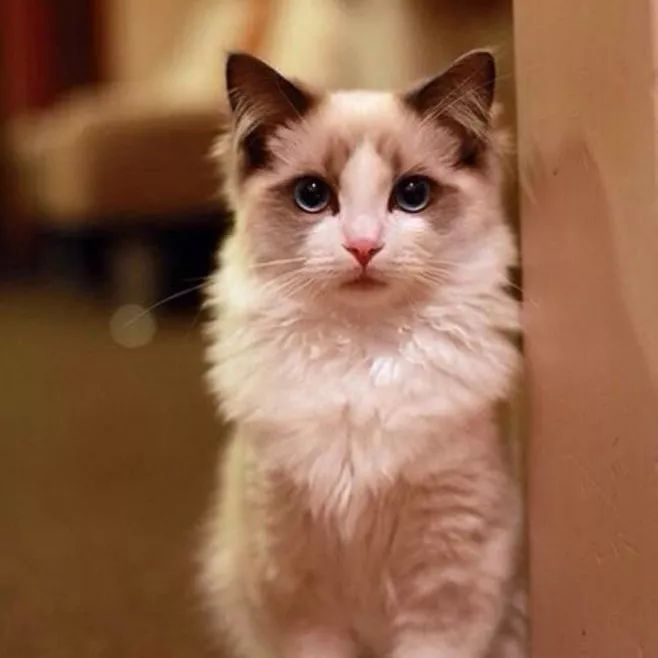 秋冬美甲小红书,美甲推荐中款ins