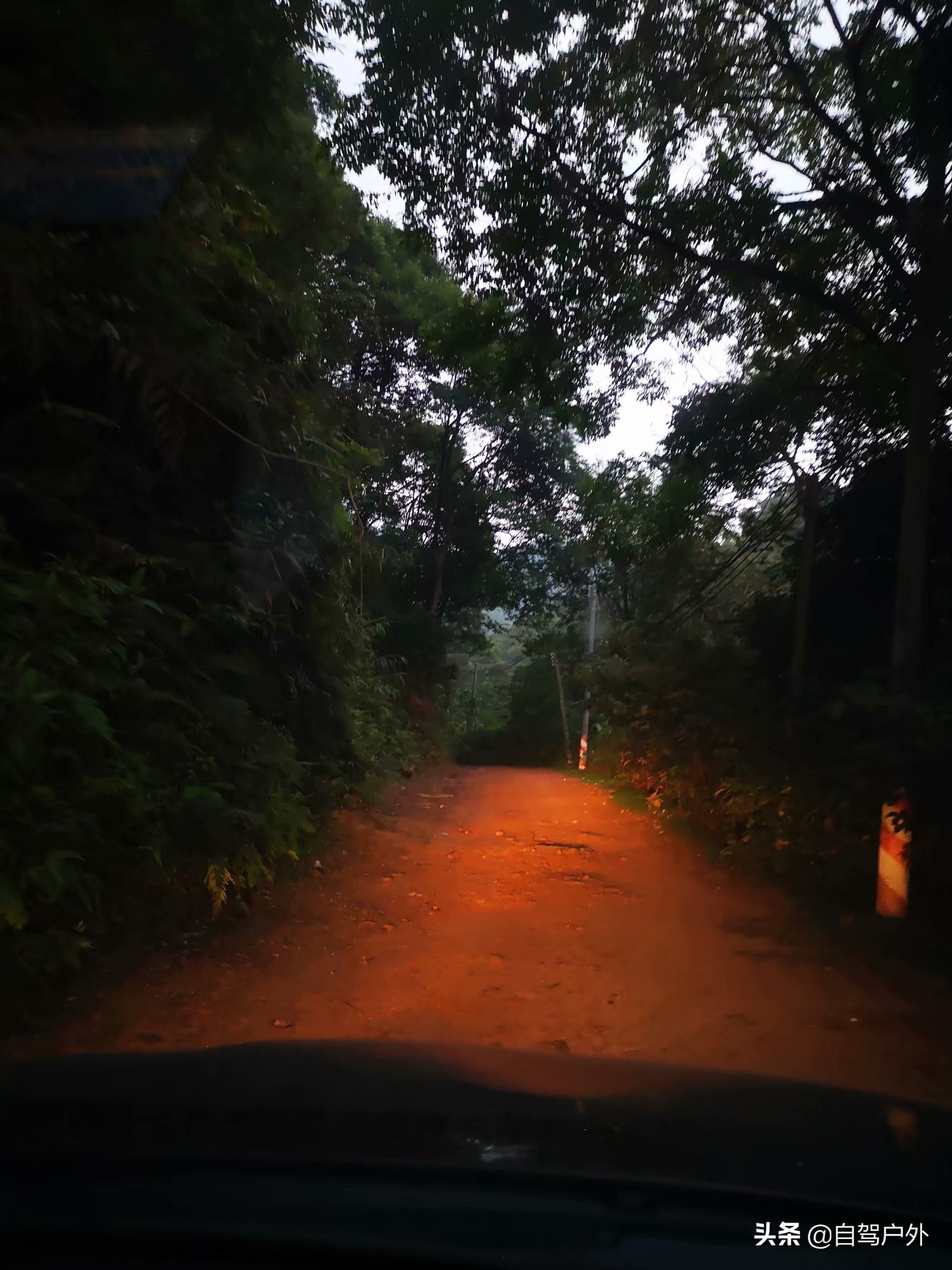 罗浮山脚下小溪露营地推荐,罗浮山休闲竹林露营攻略